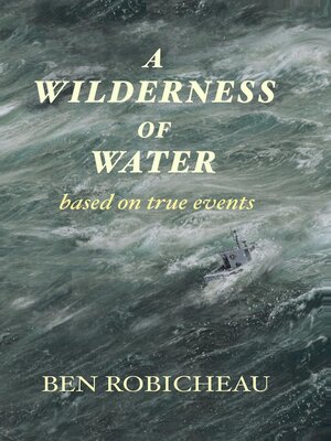 cover image of A Wilderness of Water